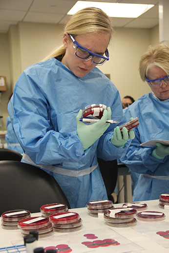 An Iowa clinical laboratorian examines inactive cultures of infectious diseases during the 2017 SHL Emergency Preparedness workshop.
